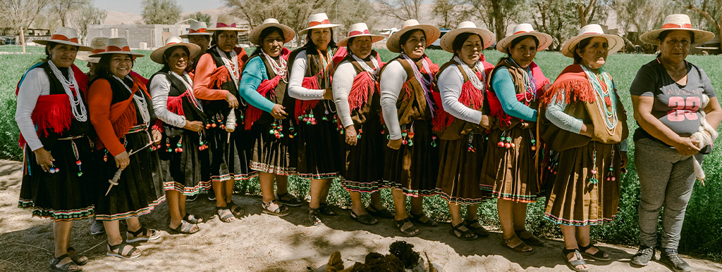 The incredible Art of Alpaca Wool
Aymara women from Chile. A group named Aymar Sawuri
