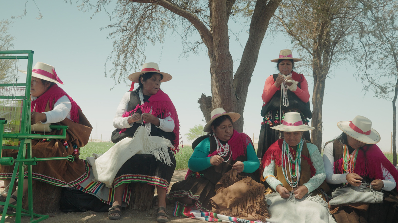 Aymara women working the alpaca wool