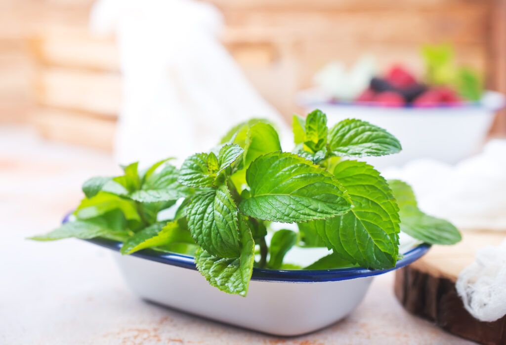 Mint is a holy grail in summer fragrances