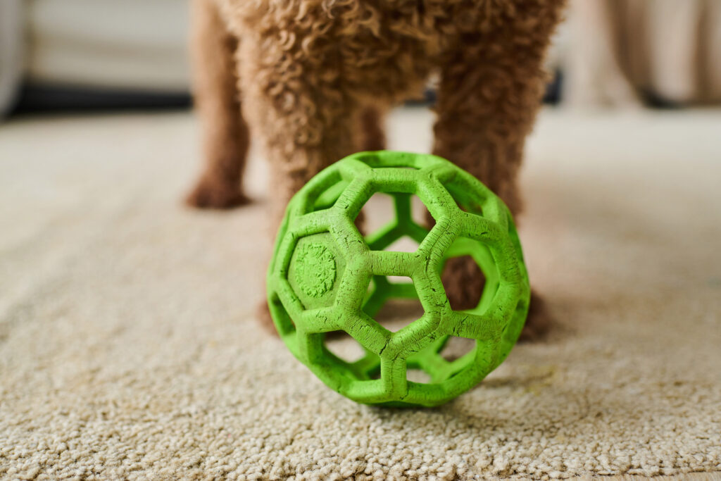 Your pet toys don't need to be kept in large amounts. A good way for a Decluttering Challenge