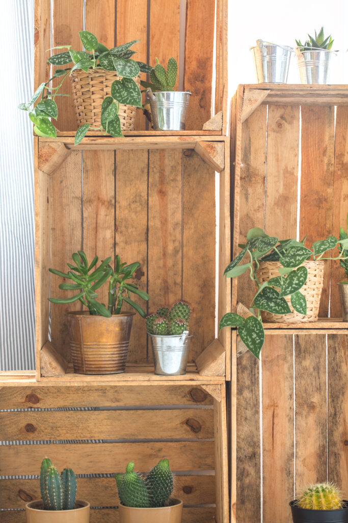 Wooden crates are so trendy and we get why. One of the safest DIY Home Decor choices for your place.